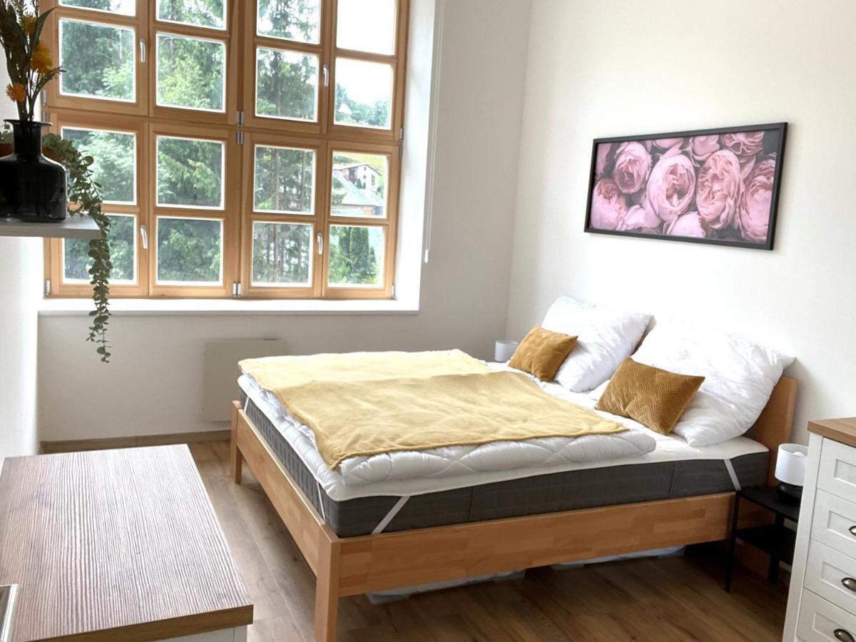 Residence Kotel Rokytnice nad Jizerou Kültér fotó